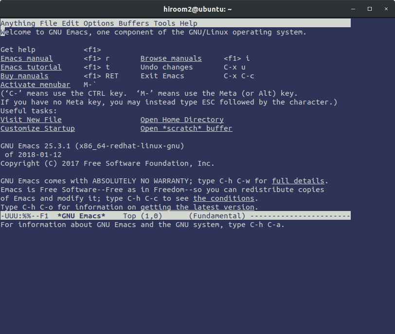 0005_emacs-before-resize.png